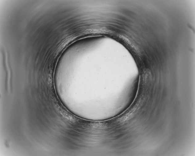 X0000095511025200712281433