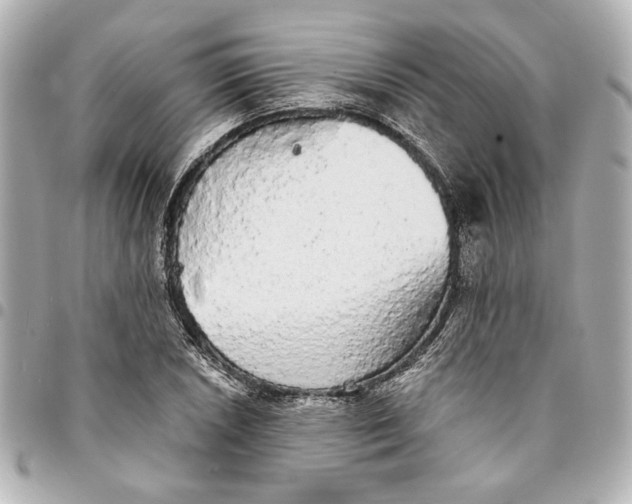 X0000095511026200712281433
