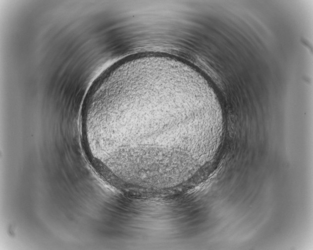 X0000095511028200712281433