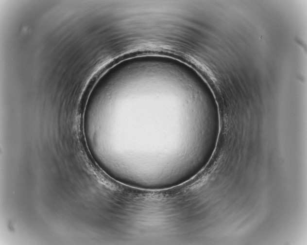 X0000095511029200712281433