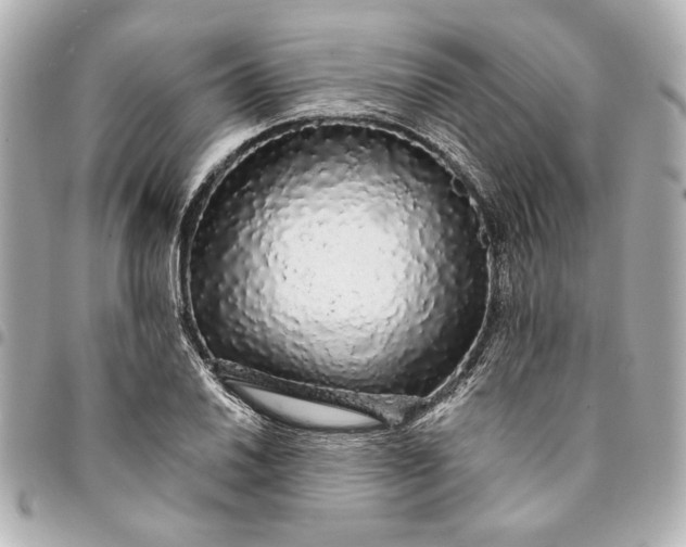 X0000095511030200712281433