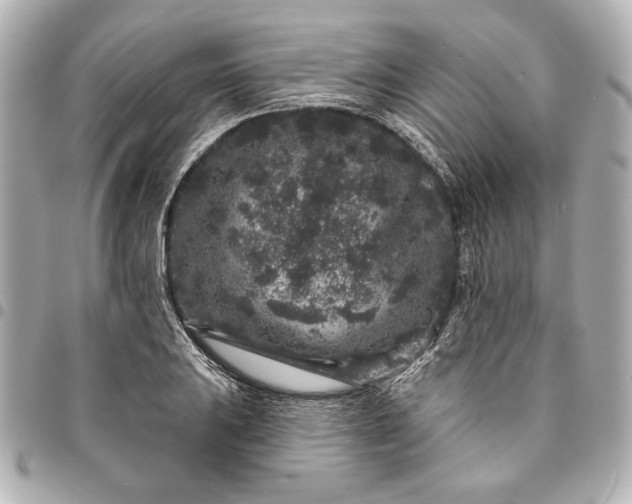 X0000095511031200712281433