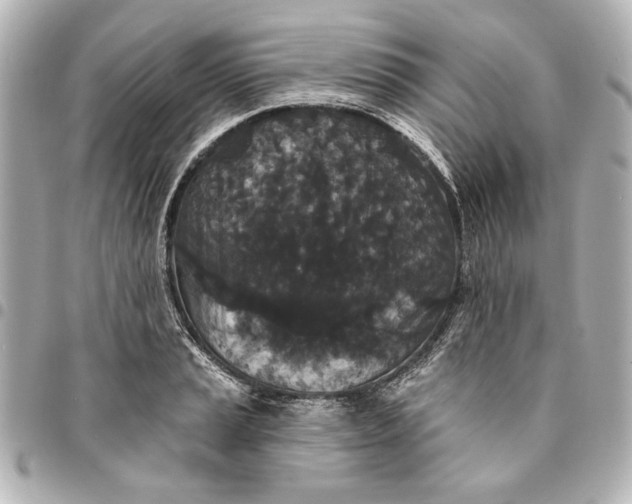 X0000095511037200712281433