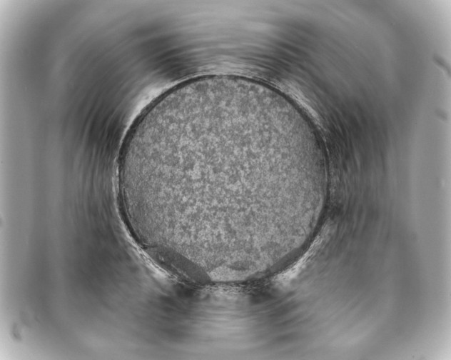X0000095511040200712281433