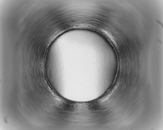 X0000095511041200712281433