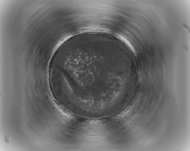 X0000095511043200712281433