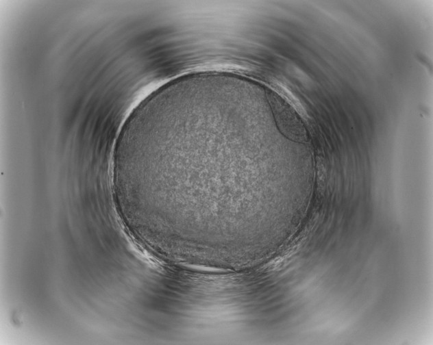 X0000095511044200712281433