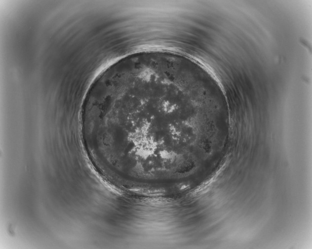 X0000095511045200712281433