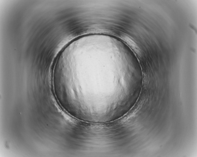 X0000095511046200712281433