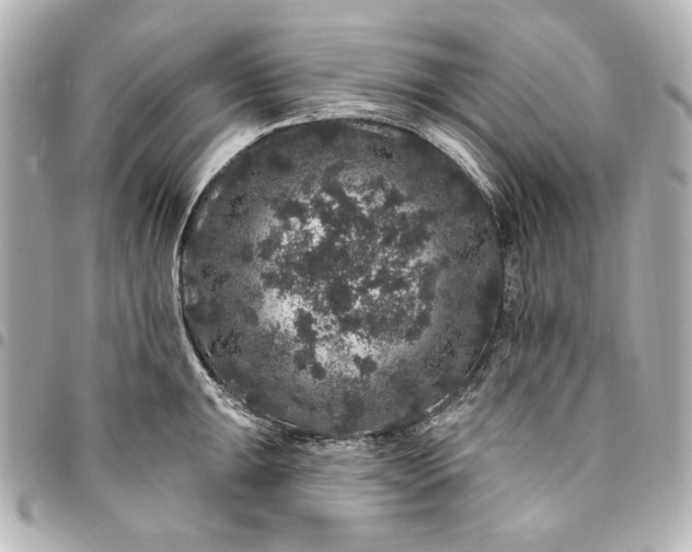 X0000095511047200712281433