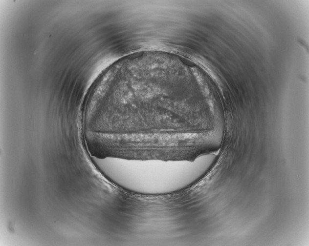 X0000095511048200712281433
