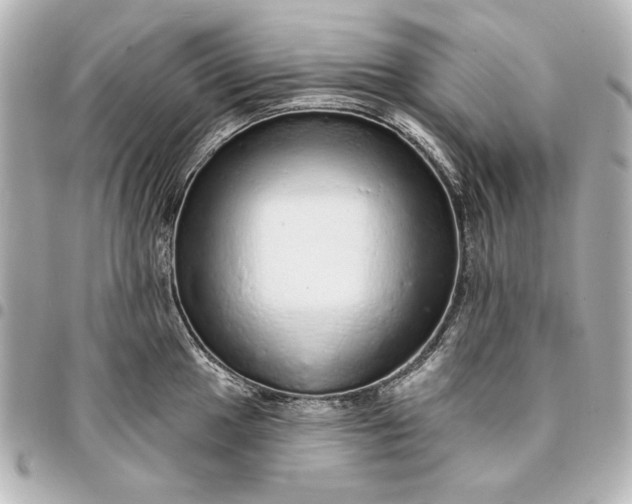 X0000095511049200712281433