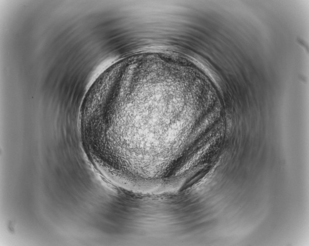 X0000095511050200712281433