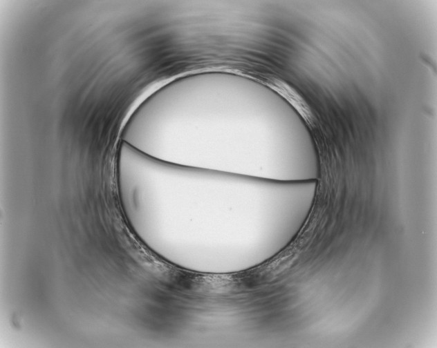 X0000095511052200712281433