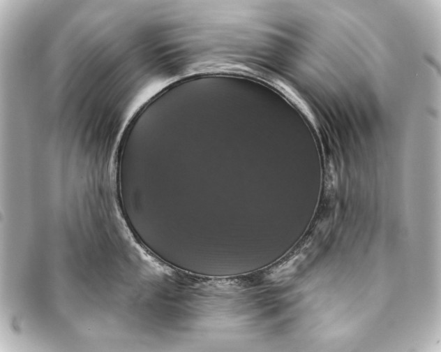 X0000095511053200712281433