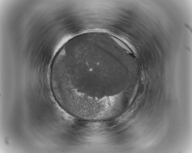 X0000095511054200712281433
