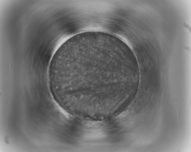 X0000095511056200712281433