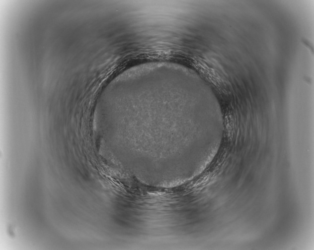X0000095511057200712281433