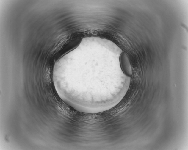 X0000095511060200712281433