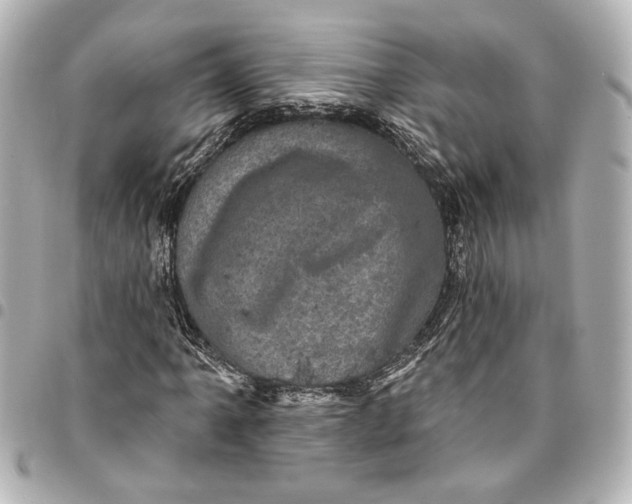 X0000095511061200712281433