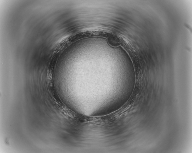 X0000095511062200712281433