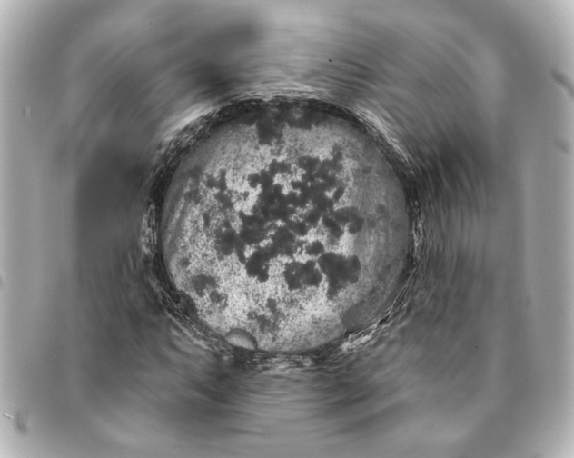 X0000095511063200712281433
