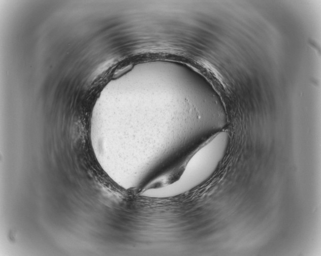 X0000095511064200712281433
