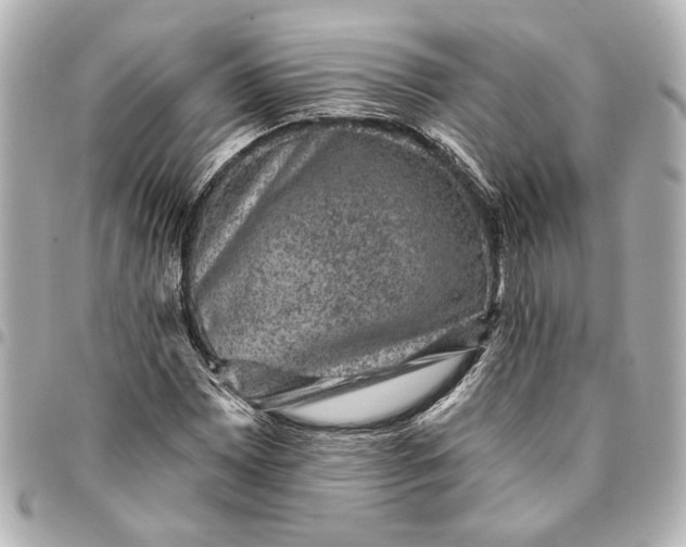 X0000095511065200712281433