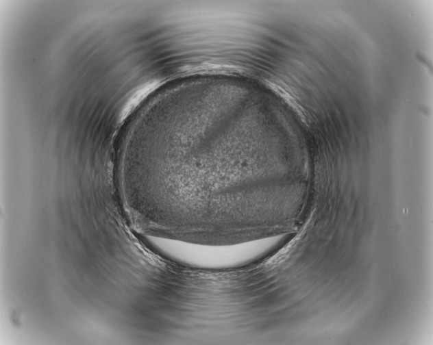 X0000095511066200712281433