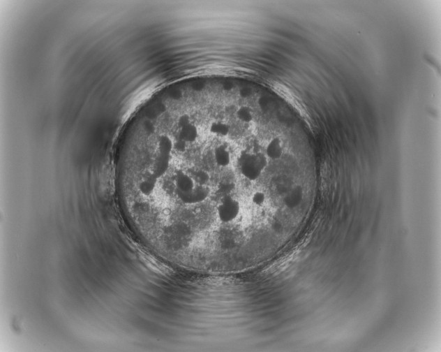 X0000095511067200712281433