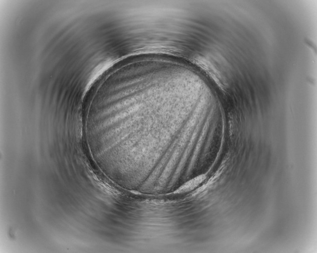 X0000095511069200712281433