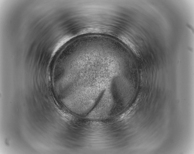 X0000095511070200712281433
