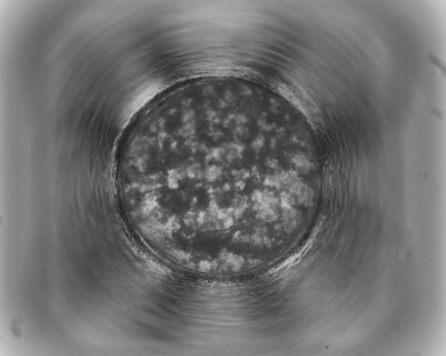 X0000095511071200712281433