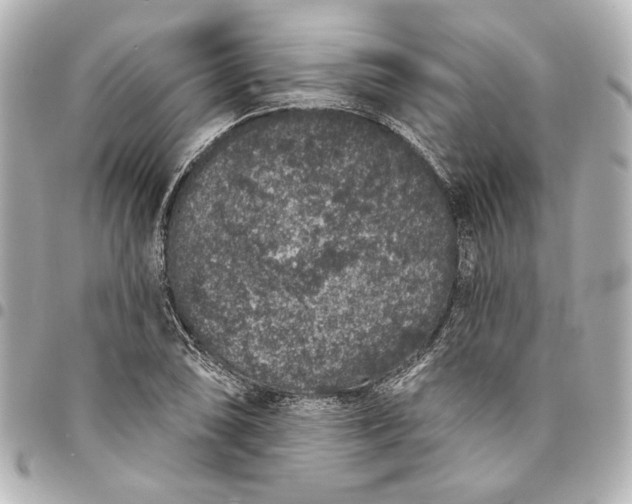 X0000095511074200712281433