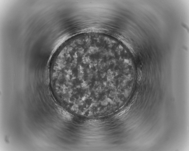 X0000095511075200712281433