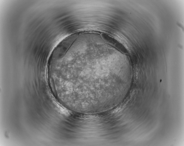 X0000095511076200712281433
