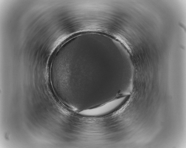 X0000095511077200712281433