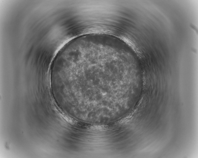 X0000095511078200712281433