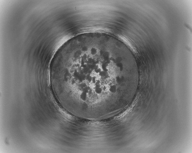X0000095511079200712281433