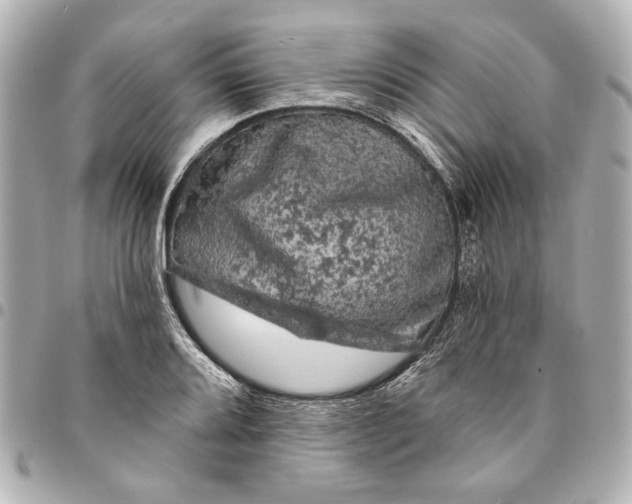 X0000095511080200712281433