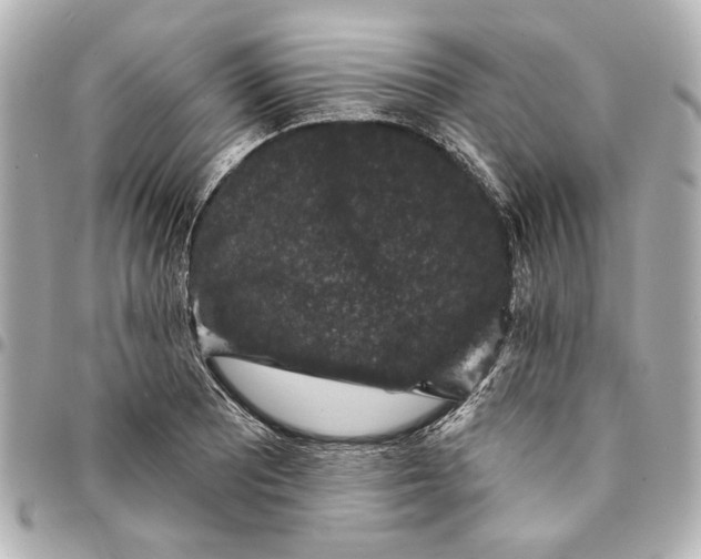 X0000095511081200712281433