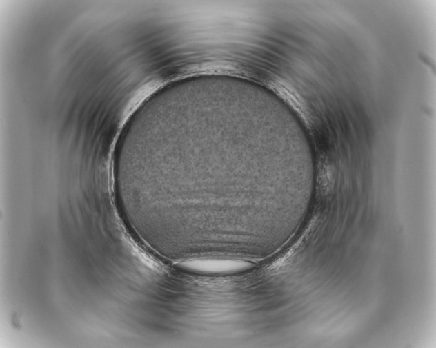 X0000095511082200712281432