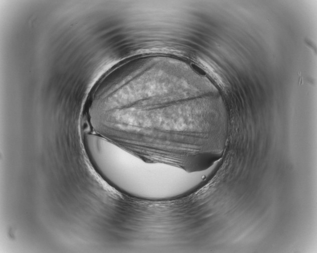 X0000095511084200712281432
