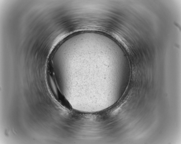 X0000095511085200712281432