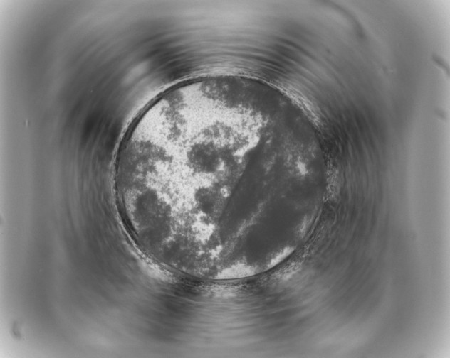 X0000095511086200712281432
