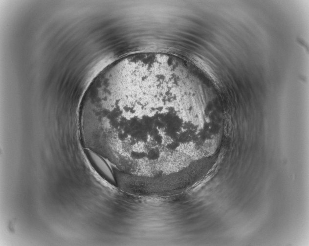 X0000095511087200712281432