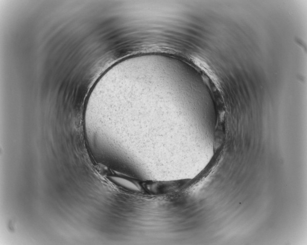 X0000095511089200712281432