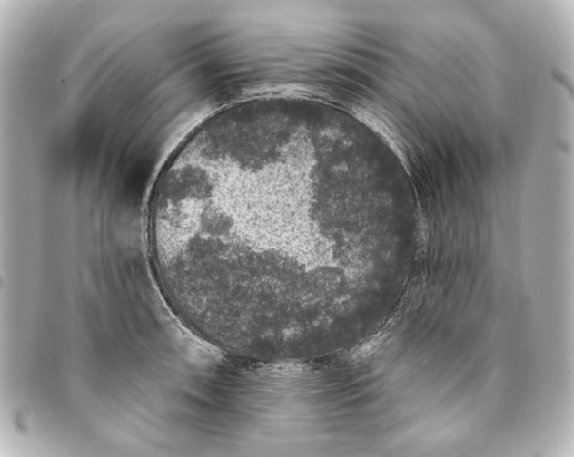 X0000095511090200712281432