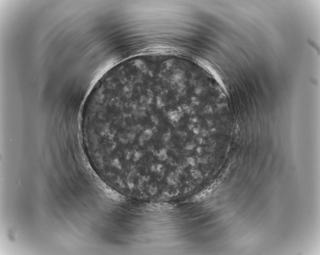X0000095511091200712281432