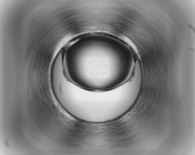 X0000095511096200712281432